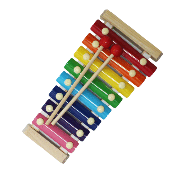 Wooden Xylophone for Kids